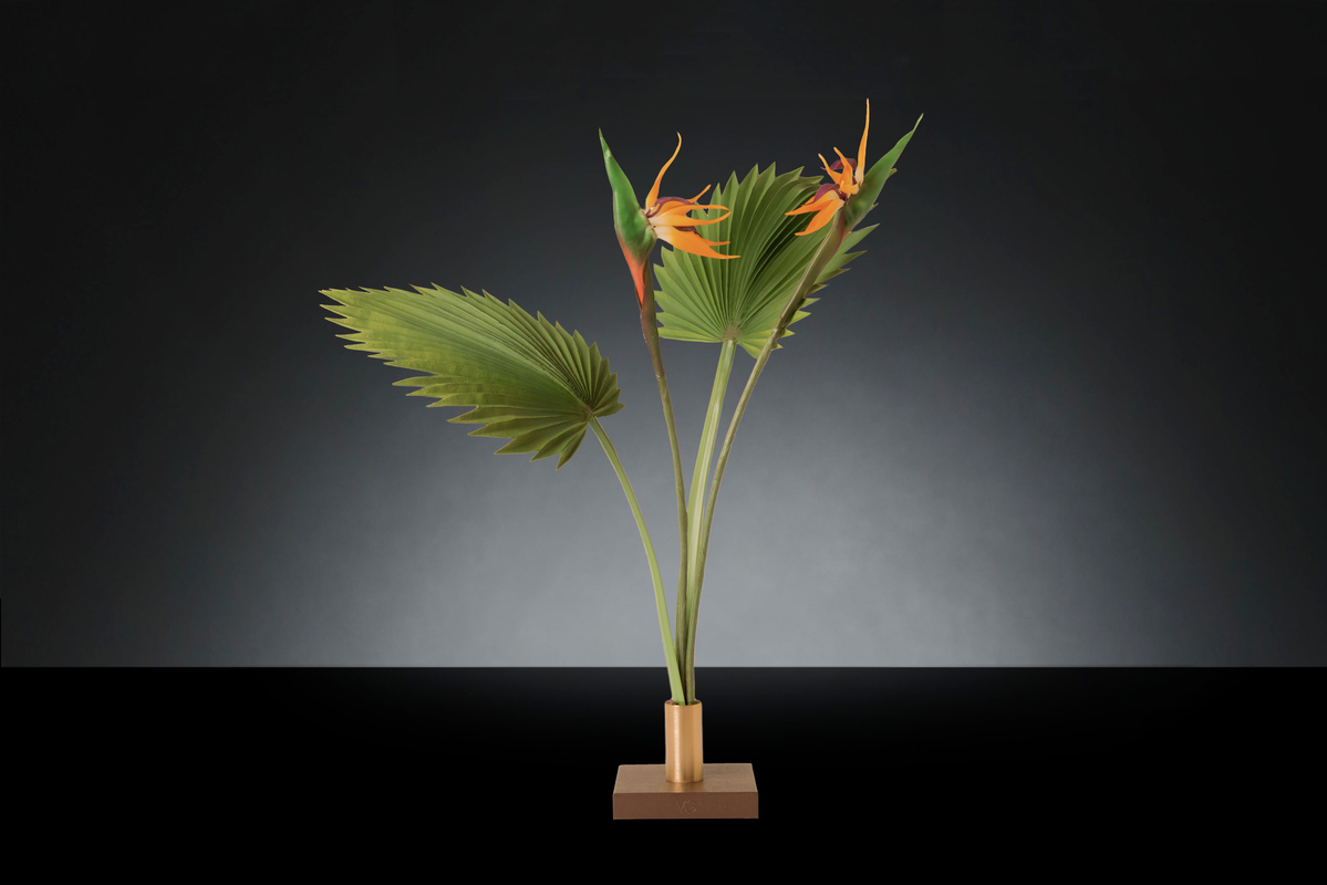 1700221606-1142935.37  GREEN BIRD OF PARADISE_2LOW